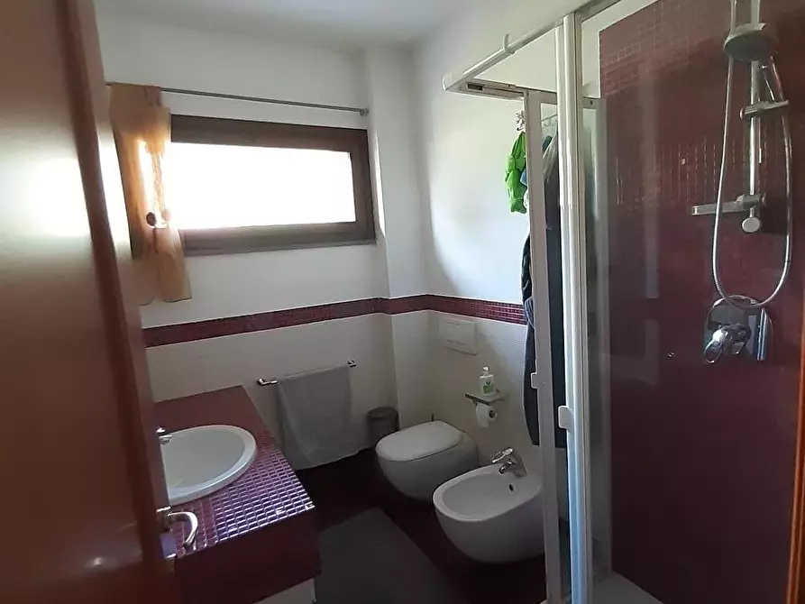 Immagine 13 di Appartamento in vendita  a San Giuliano Terme