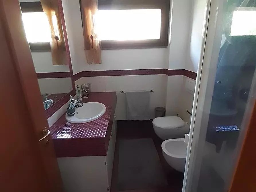 Immagine 12 di Appartamento in vendita  a San Giuliano Terme