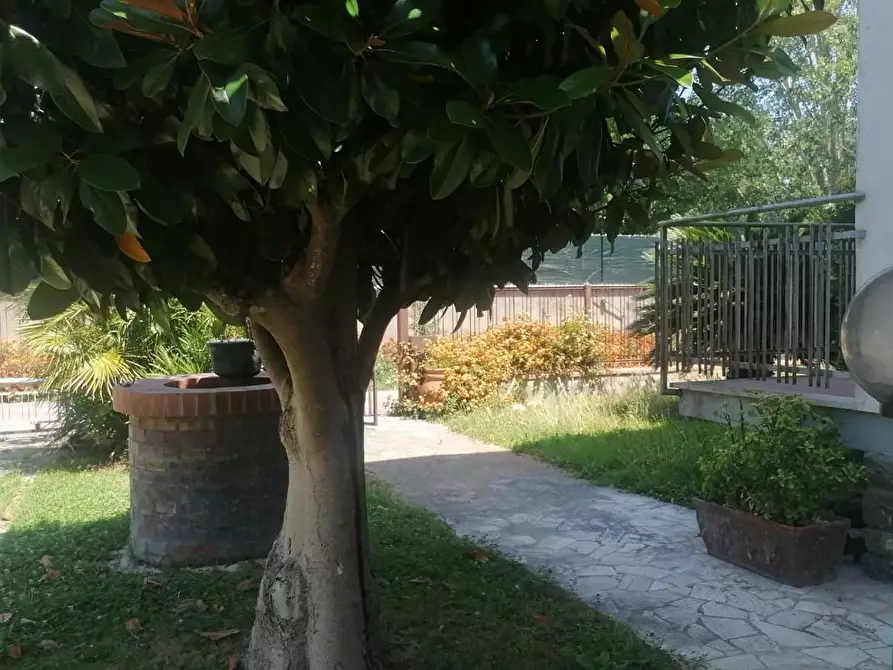 Immagine 8 di Casa bifamiliare in vendita  a Pisa