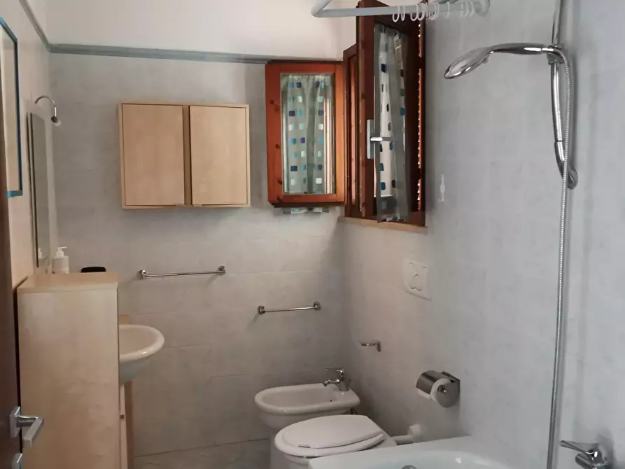 Immagine 15 di Appartamento in vendita  a Casole D'elsa