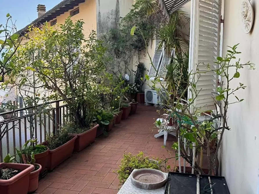 Immagine 5 di Appartamento in vendita  a Lucca