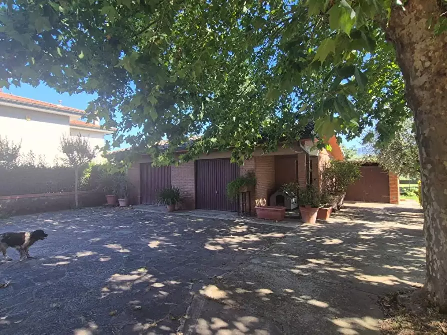 Immagine 7 di Villa in vendita  a Capannori