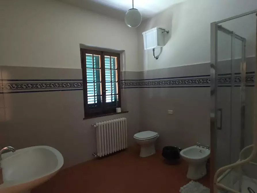 Immagine 13 di Casa colonica in vendita  a Montecarlo