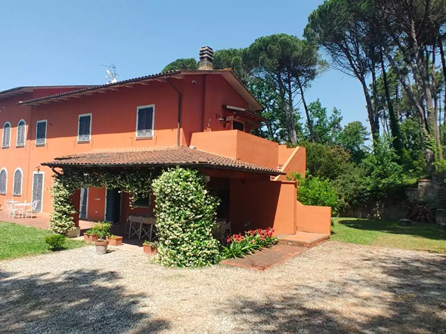 Immagine 24 di Casa colonica in vendita  a Montecarlo