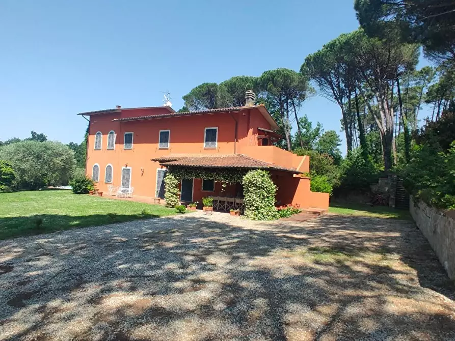 Immagine 3 di Casa colonica in vendita  a Montecarlo
