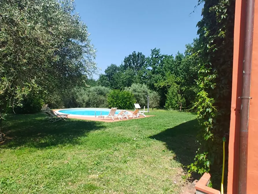 Immagine 26 di Casa colonica in vendita  a Montecarlo
