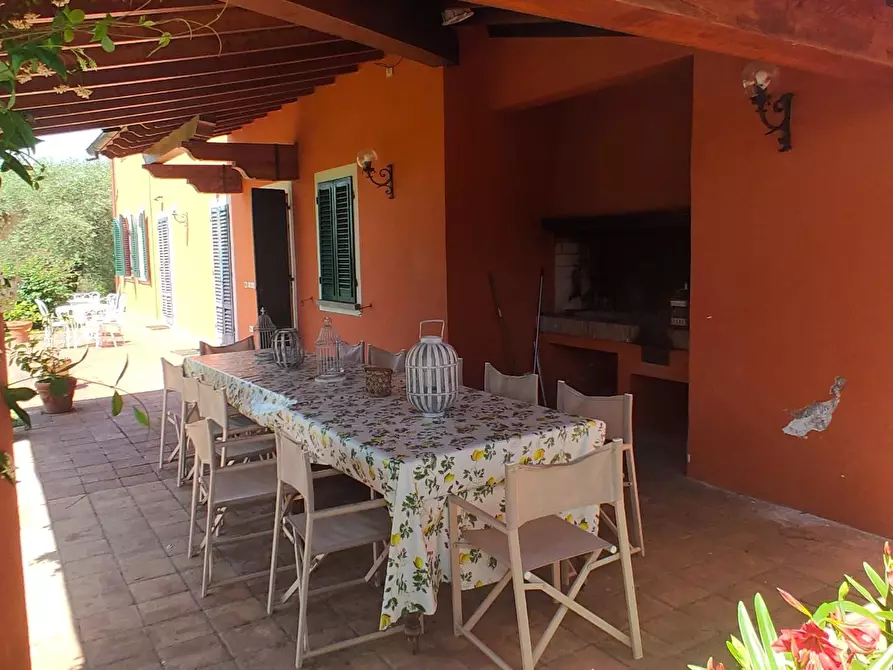 Immagine 30 di Casa colonica in vendita  a Montecarlo
