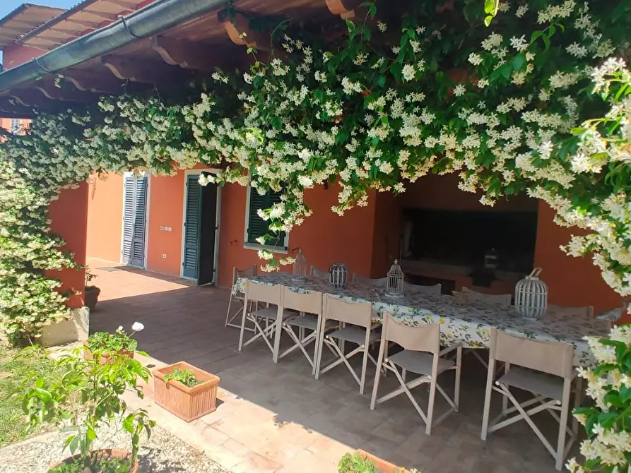 Immagine 31 di Casa colonica in vendita  a Montecarlo