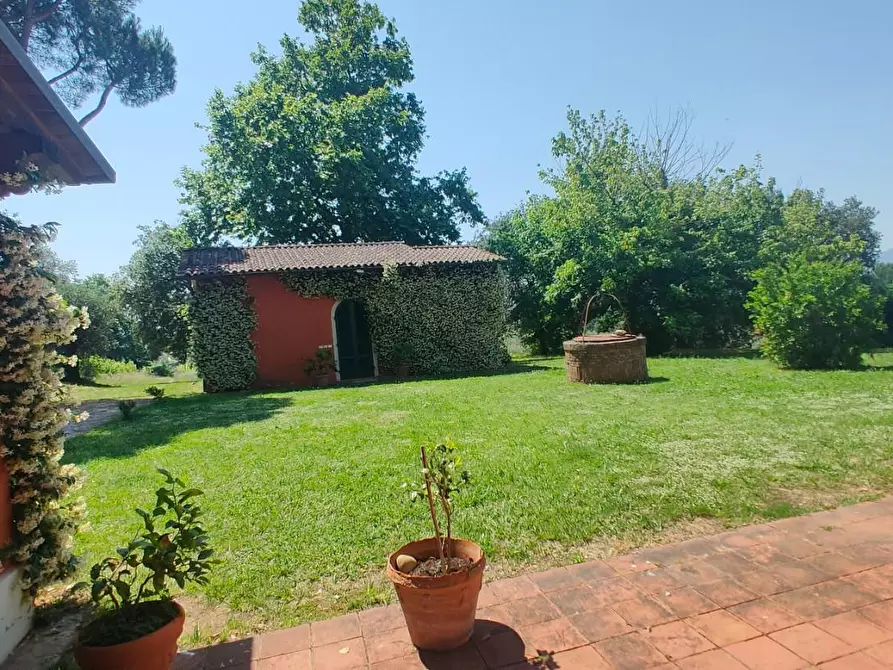 Immagine 4 di Casa colonica in vendita  a Montecarlo