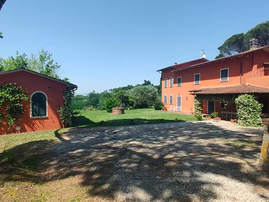 Immagine 25 di Casa colonica in vendita  a Montecarlo