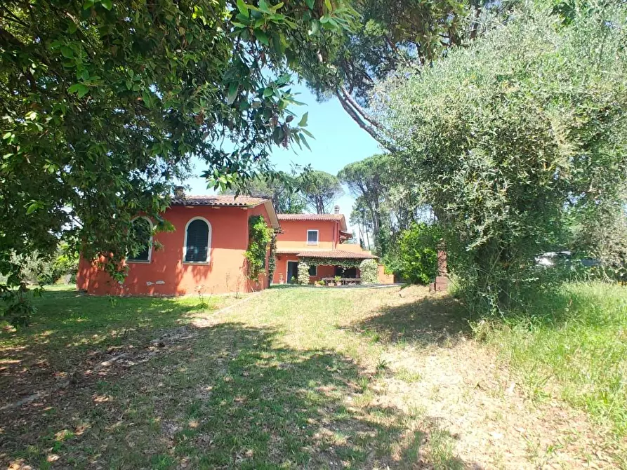 Immagine 23 di Casa colonica in vendita  a Montecarlo