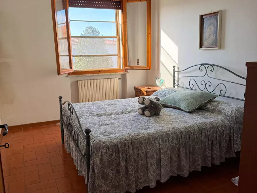 Immagine 19 di Appartamento in vendita  a Rosignano Marittimo