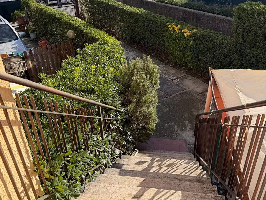 Immagine 13 di Appartamento in vendita  a Rosignano Marittimo