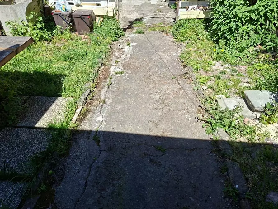 Immagine 1 di Appartamento in vendita  a Vicopisano