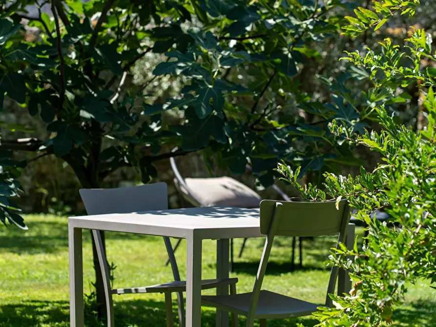 Immagine 4 di Casa colonica in vendita  a Camaiore
