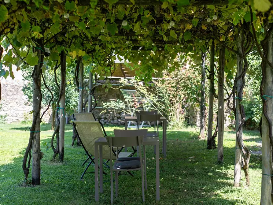 Immagine 8 di Casa colonica in vendita  a Camaiore