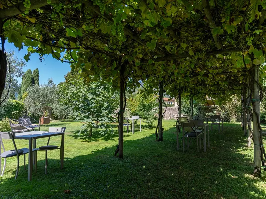 Immagine 10 di Casa colonica in vendita  a Camaiore