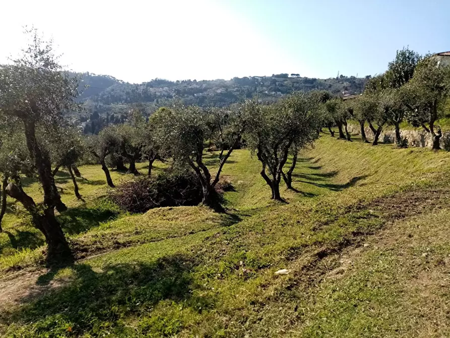 Immagine 2 di Terreno residenziale in vendita  a Massarosa