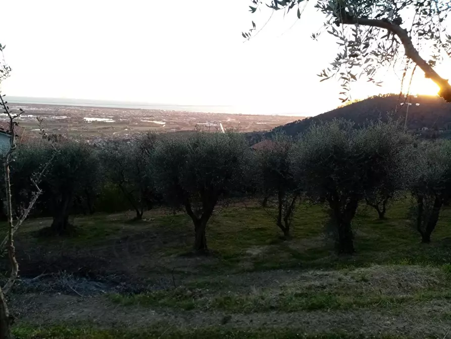 Immagine 3 di Terreno residenziale in vendita  a Massarosa