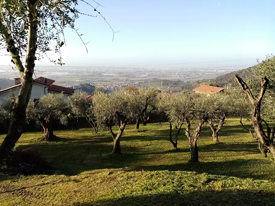 Immagine 1 di Terreno residenziale in vendita  a Massarosa