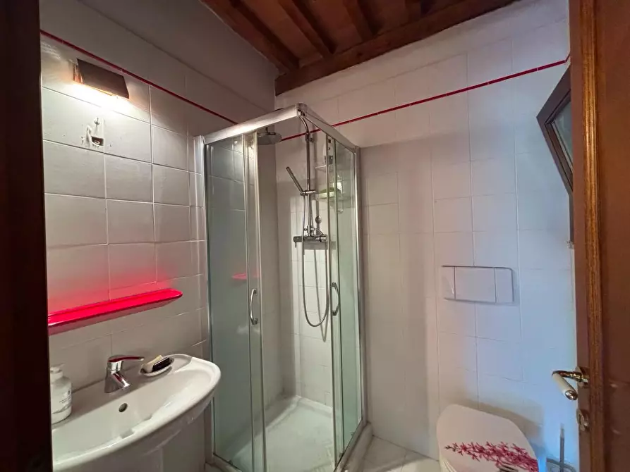 Immagine 16 di Casa colonica in vendita  a Terricciola