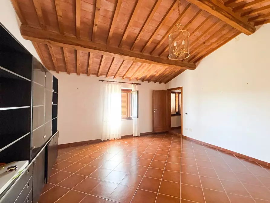 Immagine 11 di Casa colonica in vendita  a Terricciola