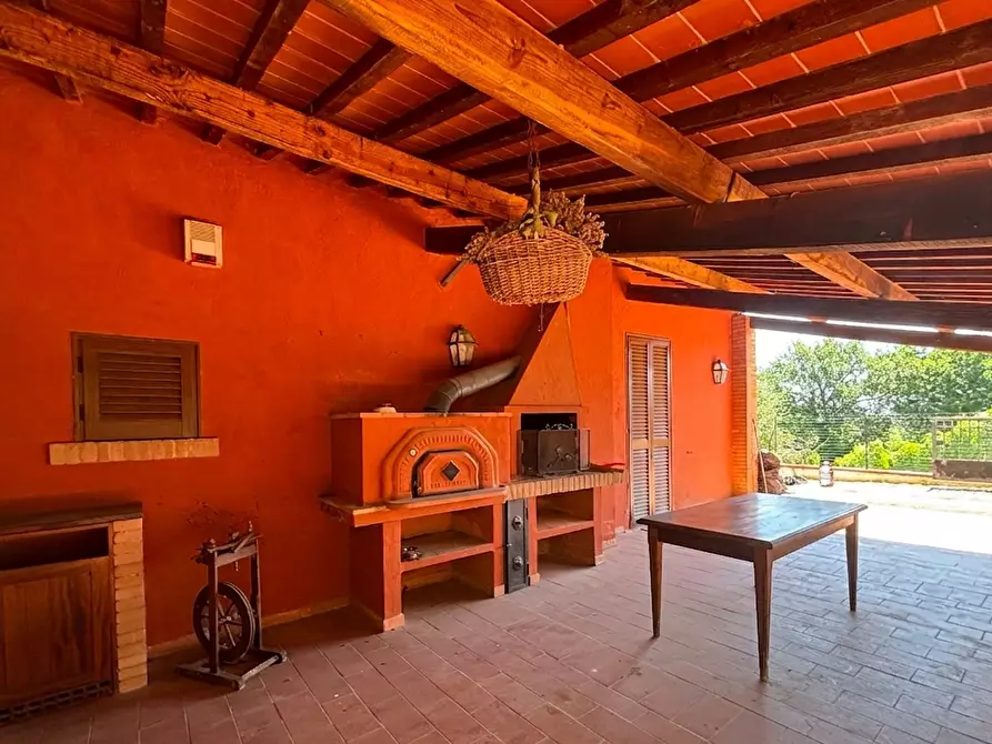 Immagine 3 di Casa colonica in vendita  a Terricciola