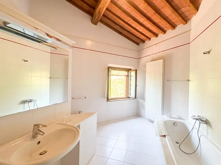 Immagine 15 di Casa colonica in vendita  a Terricciola