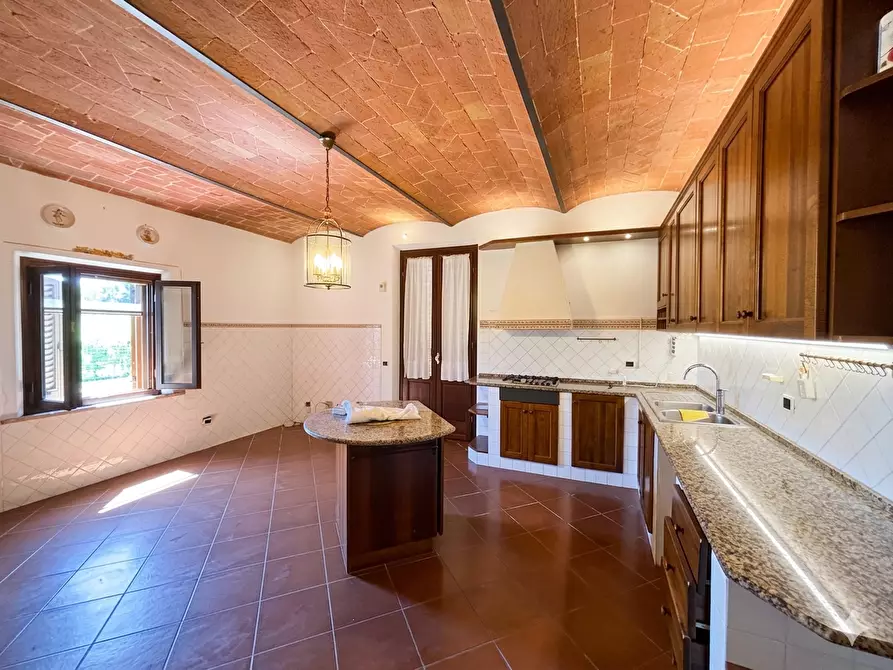 Immagine 7 di Casa colonica in vendita  a Terricciola