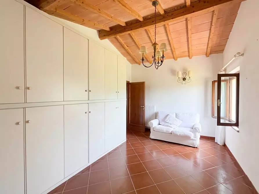 Immagine 9 di Casa colonica in vendita  a Terricciola