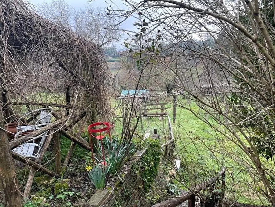 Immagine 34 di Appartamento in vendita  a Monticiano