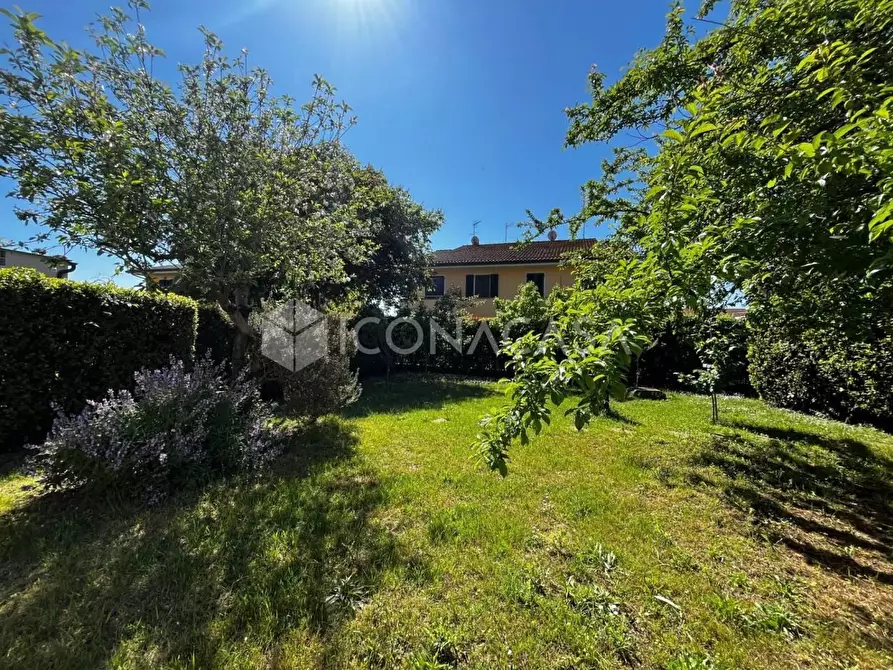 Immagine 38 di Terratetto in vendita  a Montopoli In Val D'arno