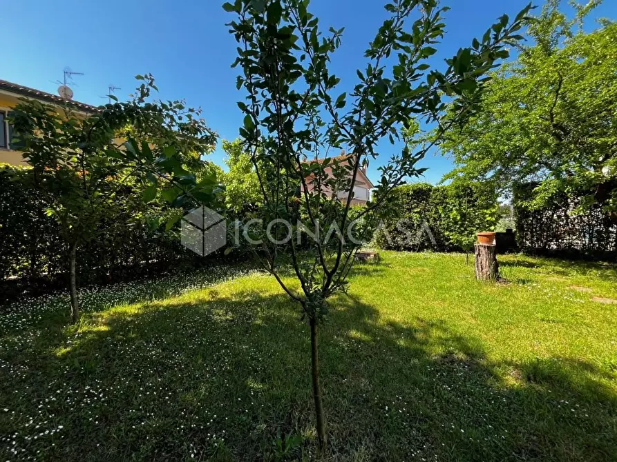 Immagine 35 di Terratetto in vendita  a Montopoli In Val D'arno
