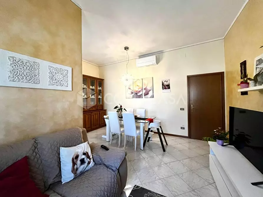 Immagine 3 di Terratetto in vendita  a Montopoli In Val D'arno