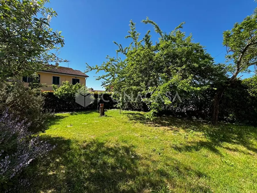 Immagine 36 di Terratetto in vendita  a Montopoli In Val D'arno
