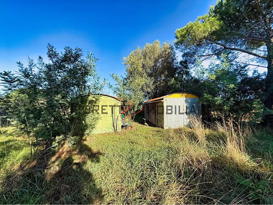 Immagine 7 di Terreno agricolo in vendita  a Piombino