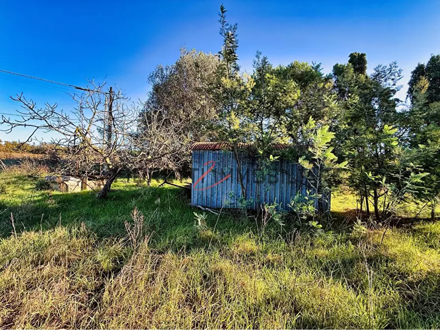 Immagine 10 di Terreno agricolo in vendita  a Piombino