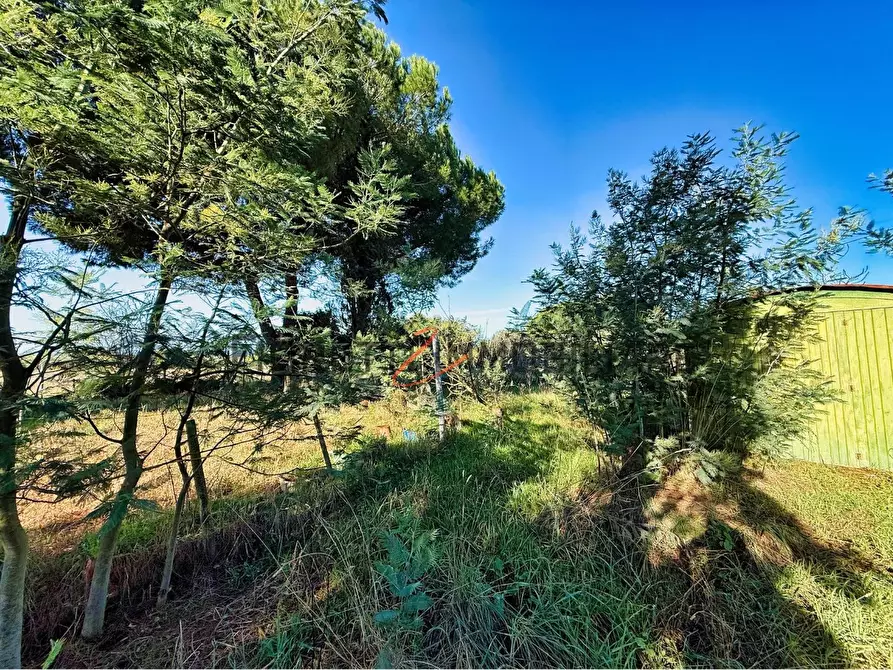 Immagine 8 di Terreno agricolo in vendita  a Piombino