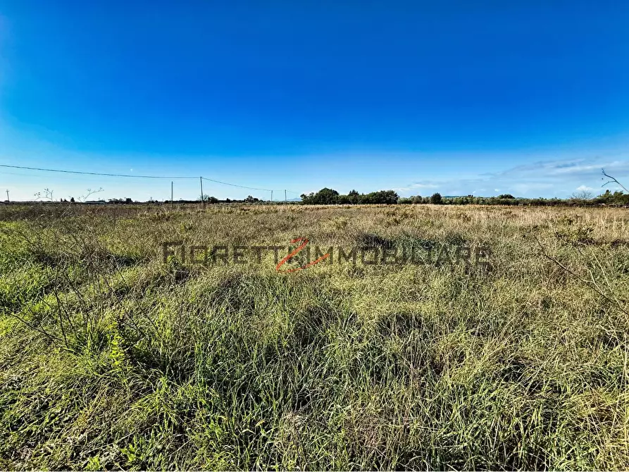 Immagine 4 di Terreno agricolo in vendita  a Piombino