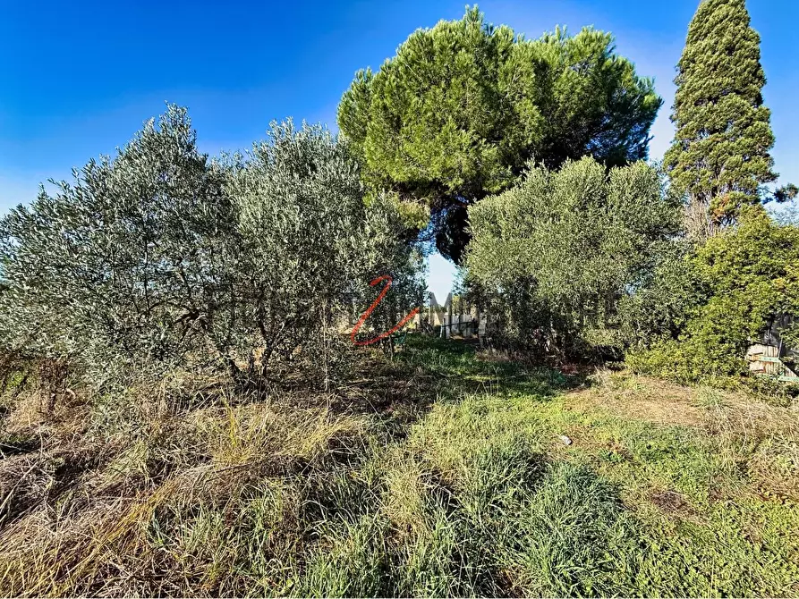 Immagine 5 di Terreno agricolo in vendita  a Piombino