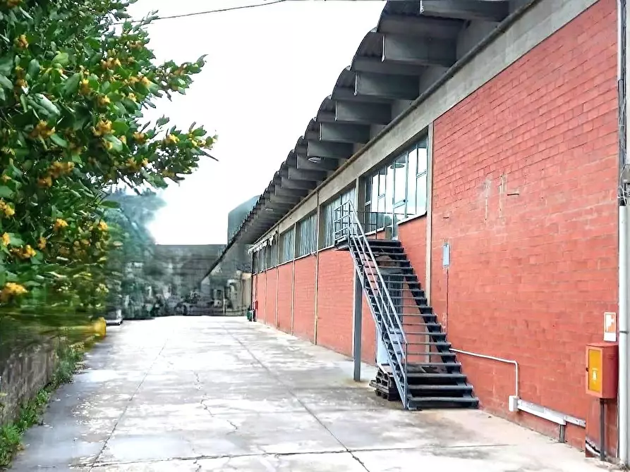 Immagine 1 di Attività artigianale in vendita  a Montelupo Fiorentino