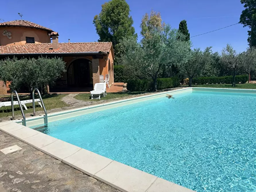 Immagine 2 di Villa in vendita  a Bibbona