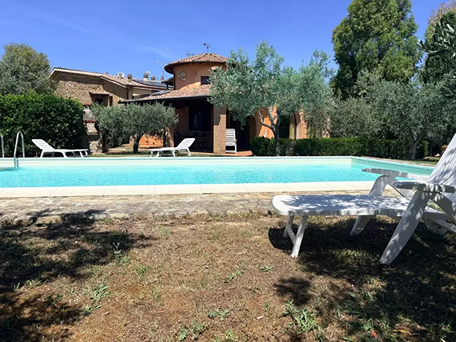 Immagine 4 di Villa in vendita  a Bibbona