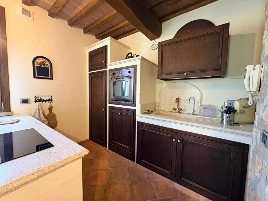 Immagine 12 di Villa in vendita  a Bibbona