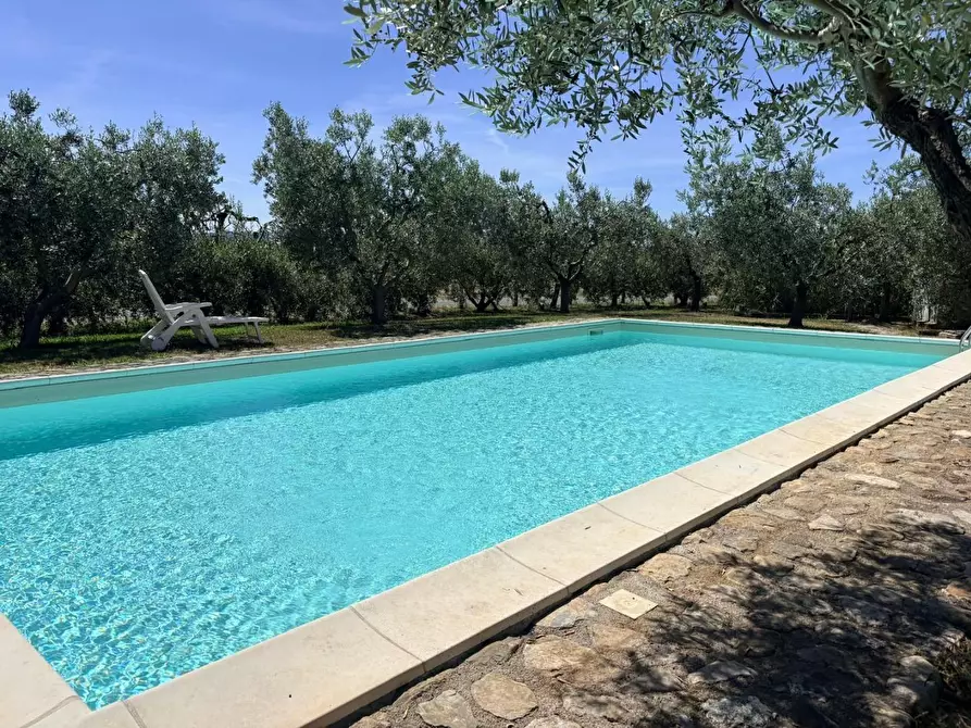 Immagine 1 di Villa in vendita  a Bibbona