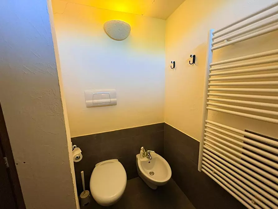 Immagine 17 di Villa in vendita  a Bibbona