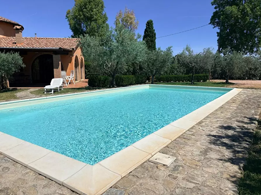 Immagine 3 di Villa in vendita  a Bibbona