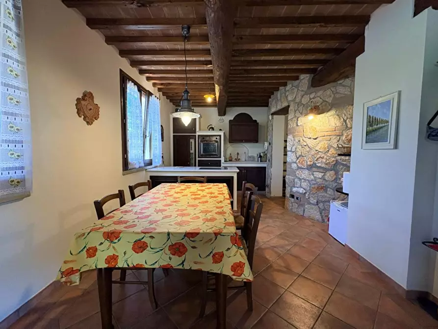 Immagine 13 di Villa in vendita  a Bibbona