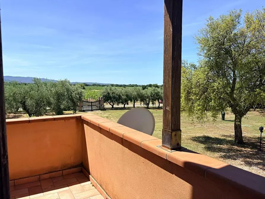 Immagine 18 di Villa in vendita  a Bibbona