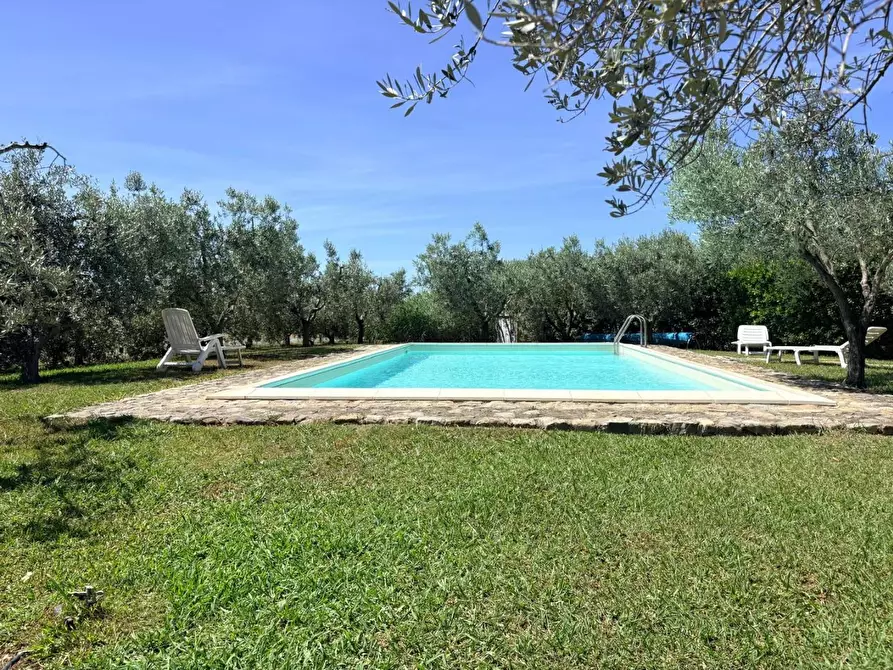Immagine 5 di Villa in vendita  a Bibbona